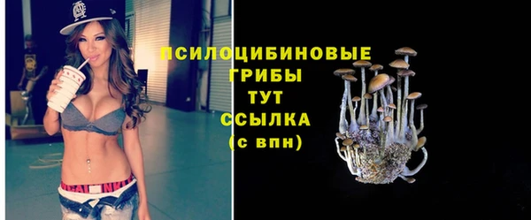 герыч Аркадак