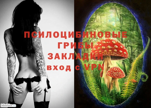 ECSTASY Армянск