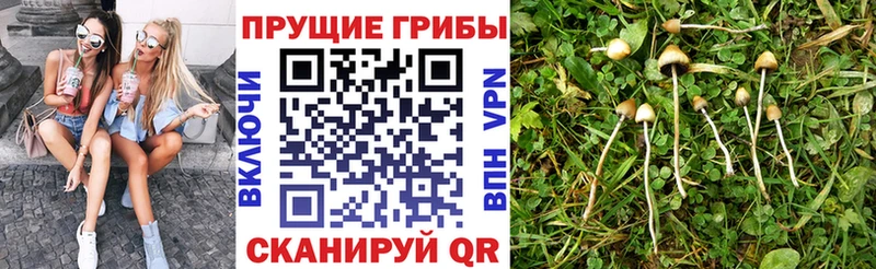 Галлюциногенные грибы MAGIC MUSHROOMS  Таруса 
